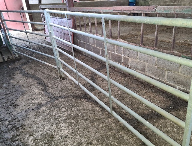 Cattle Handling Gates | Farm to Farm